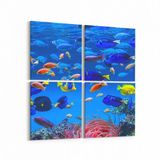 Olla 12093K4 Akvaryum Balık Görseli Kare 4 Parça 65x65 cm Kanvas Tablo