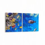 Olla 12096K2Y Akvaryum Balık Görseli Kare 2 Parça Yatay 65x30 cm Kanvas Tablo