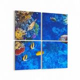 Olla 12096K4 Akvaryum Balık Görseli Kare 4 Parça 65x65 cm Kanvas Tablo