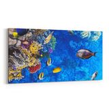 Olla 12096YD Akvaryum Balık Görseli Yatay Dar 60x30 cm Kanvas Tablo