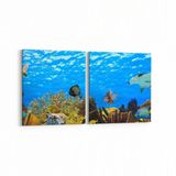 Olla 12097K2Y Akvaryum Balık Görseli Kare 2 Parça Yatay 65x30 cm Kanvas Tablo