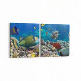Olla 12098K2Y Akvaryum Balık Görseli Kare 2 Parça Yatay 65x30 cm Kanvas Tablo