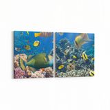 Olla 12099K2Y Akvaryum Balık Görseli Kare 2 Parça Yatay 65x30 cm Kanvas Tablo
