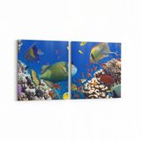Olla 12103K2Y Akvaryum Balık Görseli Kare 2 Parça Yatay 65x30 cm Kanvas Tablo