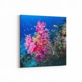 Olla 12104K Akvaryum Balık Görseli Kare 25x25 cm Kanvas Tablo
