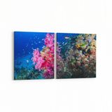 Olla 12104K2Y Akvaryum Balık Görseli Kare 2 Parça Yatay 65x30 cm Kanvas Tablo
