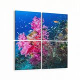 Olla 12104K4 Akvaryum Balık Görseli Kare 4 Parça 65x65 cm Kanvas Tablo
