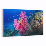 Olla 12104Y Akvaryum Balık Görseli Yatay 30x20 cm Kanvas Tablo