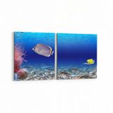 Olla 12106K2Y Akvaryum Balık Görseli Kare 2 Parça Yatay 65x30 cm Kanvas Tablo