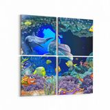 Olla 12110K4 Akvaryum Balık Görseli Kare 4 Parça 65x65 cm Kanvas Tablo