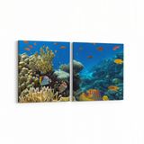 Olla 12112K2Y Akvaryum Balık Görseli Kare 2 Parça Yatay 65x30 cm Kanvas Tablo