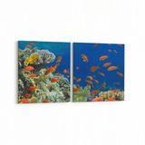 Olla 12113K2Y Akvaryum Balık Görseli Kare 2 Parça Yatay 65x30 cm Kanvas Tablo