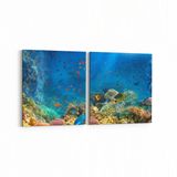 Olla 12115K2Y Akvaryum Balık Görseli Kare 2 Parça Yatay 65x30 cm Kanvas Tablo