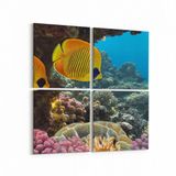 Olla 12117K4 Akvaryum Balık Görseli Kare 4 Parça 65x65 cm Kanvas Tablo