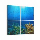 Olla 12118K4 Akvaryum Balık Görseli Kare 4 Parça 65x65 cm Kanvas Tablo