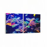 Olla 12119K2Y Akvaryum Balık Görseli Kare 2 Parça Yatay 65x30 cm Kanvas Tablo