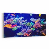 Olla 12119YD Akvaryum Balık Görseli Yatay Dar 60x30 cm Kanvas Tablo
