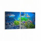 Olla 12120K2Y Akvaryum Balık Görseli Kare 2 Parça Yatay 65x30 cm Kanvas Tablo