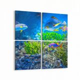 Olla 12120K4 Akvaryum Balık Görseli Kare 4 Parça 65x65 cm Kanvas Tablo