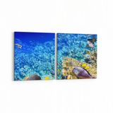 Olla 12124K2Y Akvaryum Balık Görseli Kare 2 Parça Yatay 65x30 cm Kanvas Tablo
