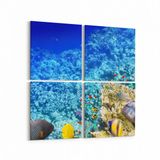 Olla 12124K4 Akvaryum Balık Görseli Kare 4 Parça 65x65 cm Kanvas Tablo