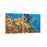 Olla 12125K2Y Akvaryum Balık Görseli Kare 2 Parça Yatay 65x30 cm Kanvas Tablo
