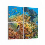 Olla 12125K4 Akvaryum Balık Görseli Kare 4 Parça 65x65 cm Kanvas Tablo