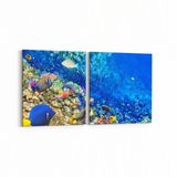 Olla 12126K2Y Akvaryum Balık Görseli Kare 2 Parça Yatay 65x30 cm Kanvas Tablo