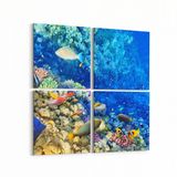 Olla 12126K4 Akvaryum Balık Görseli Kare 4 Parça 65x65 cm Kanvas Tablo