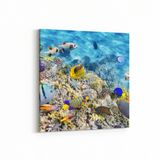 Olla 12127K Akvaryum Balık Görseli Kare 25x25 cm Kanvas Tablo