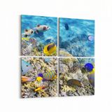 Olla 12127K4 Akvaryum Balık Görseli Kare 4 Parça 65x65 cm Kanvas Tablo