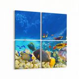 Olla 12128K4 Akvaryum Balık Görseli Kare 4 Parça 65x65 cm Kanvas Tablo