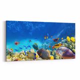 Olla 12128YD Akvaryum Balık Görseli Yatay Dar 60x30 cm Kanvas Tablo