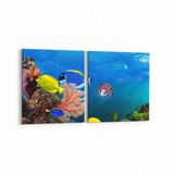 Olla 12136K2Y Akvaryum Balık Görseli Kare 2 Parça Yatay 65x30 cm Kanvas Tablo