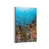 Olla 12137D Akvaryum Balık Görseli Dikey 20x30 cm Kanvas Tablo