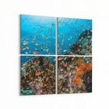 Olla 12137K4 Akvaryum Balık Görseli Kare 4 Parça 65x65 cm Kanvas Tablo