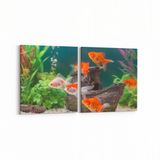 Olla 12138K2Y Akvaryum Balık Görseli Kare 2 Parça Yatay 65x30 cm Kanvas Tablo