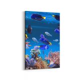 Olla 12139D Akvaryum Balık Görseli Dikey 20x30 cm Kanvas Tablo