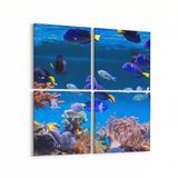 Olla 12139K4 Akvaryum Balık Görseli Kare 4 Parça 65x65 cm Kanvas Tablo