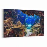 Olla 12140Y Akvaryum Balık Görseli Yatay 30x20 cm Kanvas Tablo