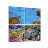 Olla 12141K4 Akvaryum Balık Görseli Kare 4 Parça 65x65 cm Kanvas Tablo