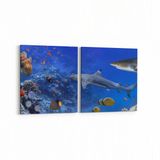 Olla 12143K2Y Akvaryum Balık Görseli Kare 2 Parça Yatay 65x30 cm Kanvas Tablo