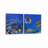Olla 12144K2Y Akvaryum Balık Görseli Kare 2 Parça Yatay 65x30 cm Kanvas Tablo