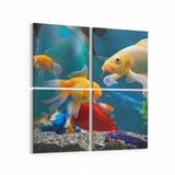 Olla 12145K4 Akvaryum Balık Görseli Kare 4 Parça 65x65 cm Kanvas Tablo