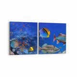 Olla 12147K2Y Akvaryum Balık Görseli Kare 2 Parça Yatay 65x30 cm Kanvas Tablo