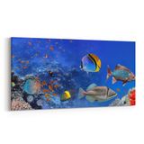 Olla 12147YD Akvaryum Balık Görseli Yatay Dar 60x30 cm Kanvas Tablo
