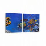 Olla 12149K2Y Akvaryum Balık Görseli Kare 2 Parça Yatay 65x30 cm Kanvas Tablo