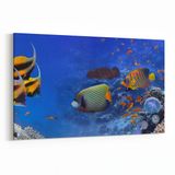 Olla 12149Y Akvaryum Balık Görseli Yatay 30x20 cm Kanvas Tablo