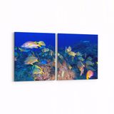 Olla 12150K2Y Akvaryum Balık Görseli Kare 2 Parça Yatay 65x30 cm Kanvas Tablo
