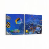 Olla 12151K2Y Akvaryum Balık Görseli Kare 2 Parça Yatay 65x30 cm Kanvas Tablo